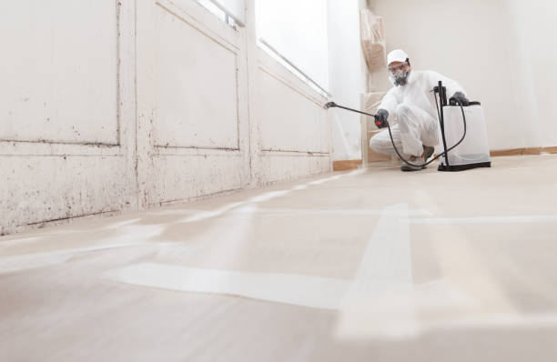 24/7 Emergency Mold Cleanup experts in Rixeyville, VA
