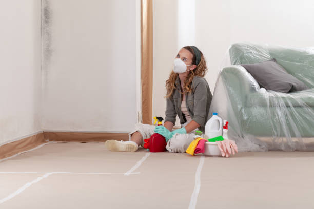Reliable Mold Cleanup contractor in Rixeyville, VA by Cheap Mold Removal